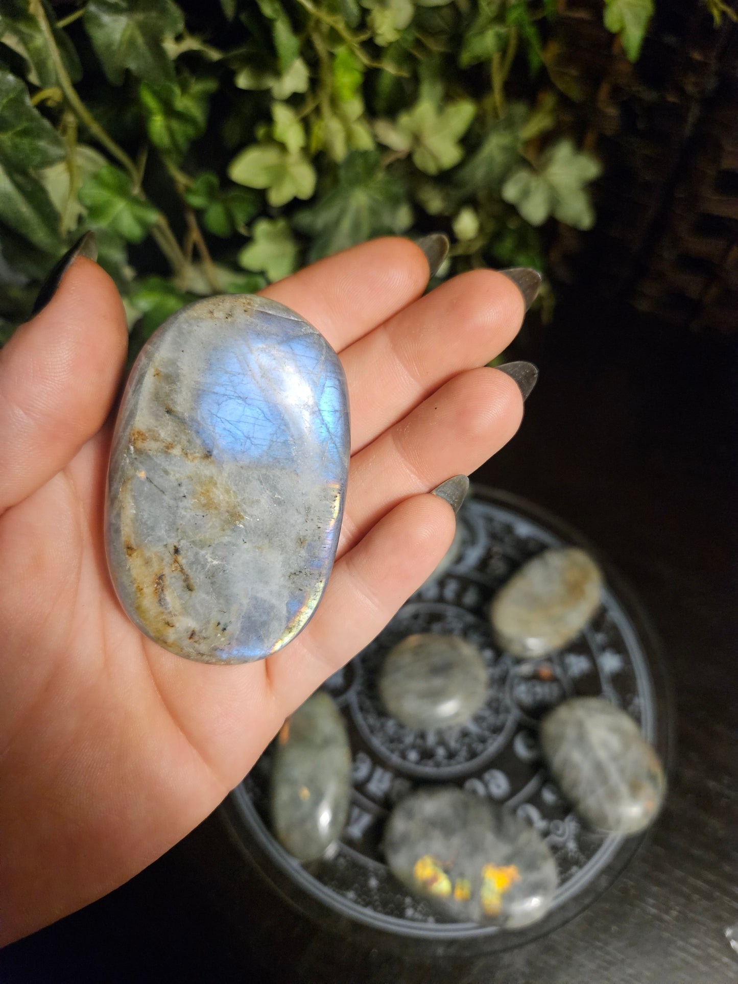 Purple Labradorite Palms