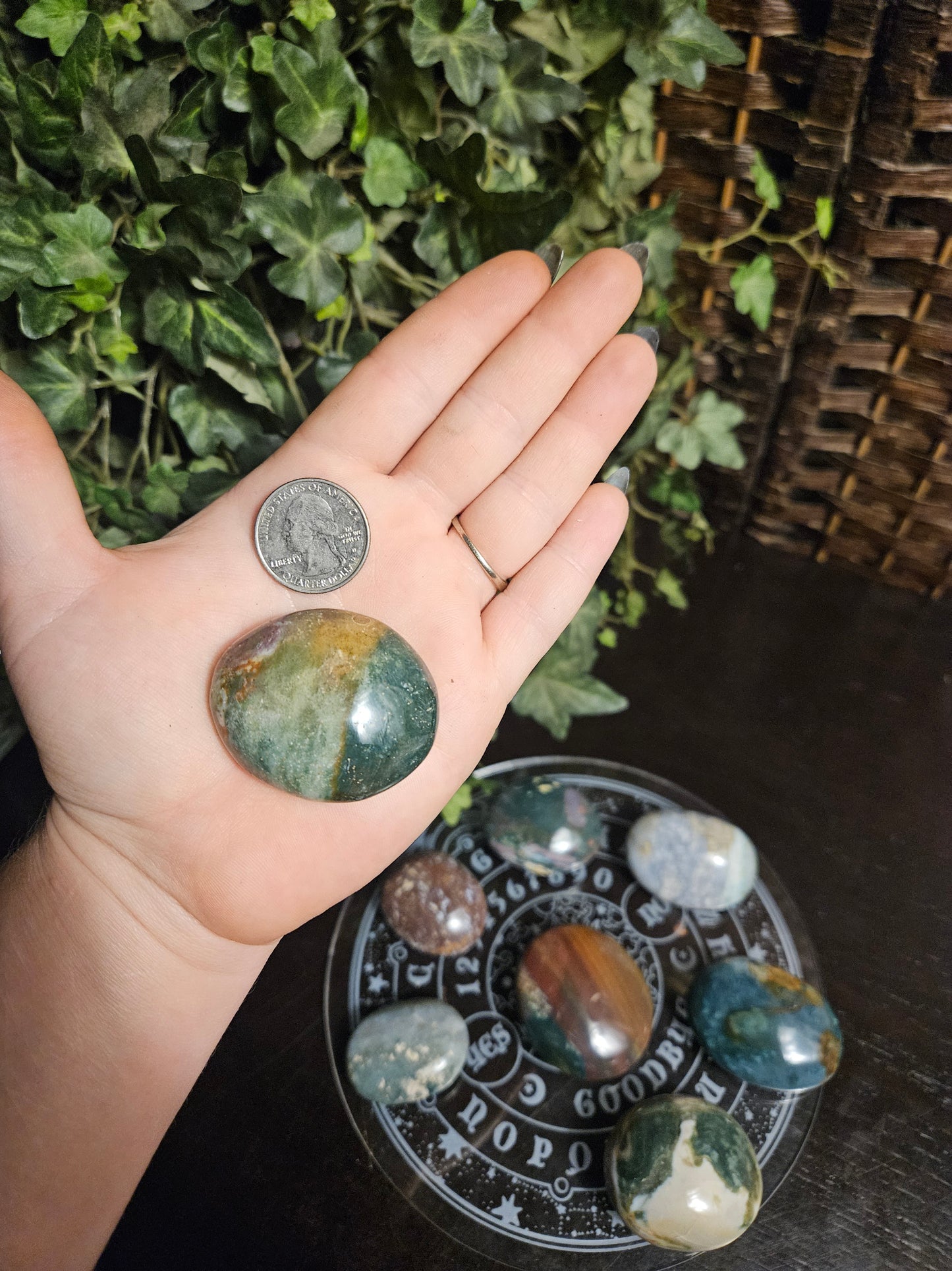Ocean Jasper Palms