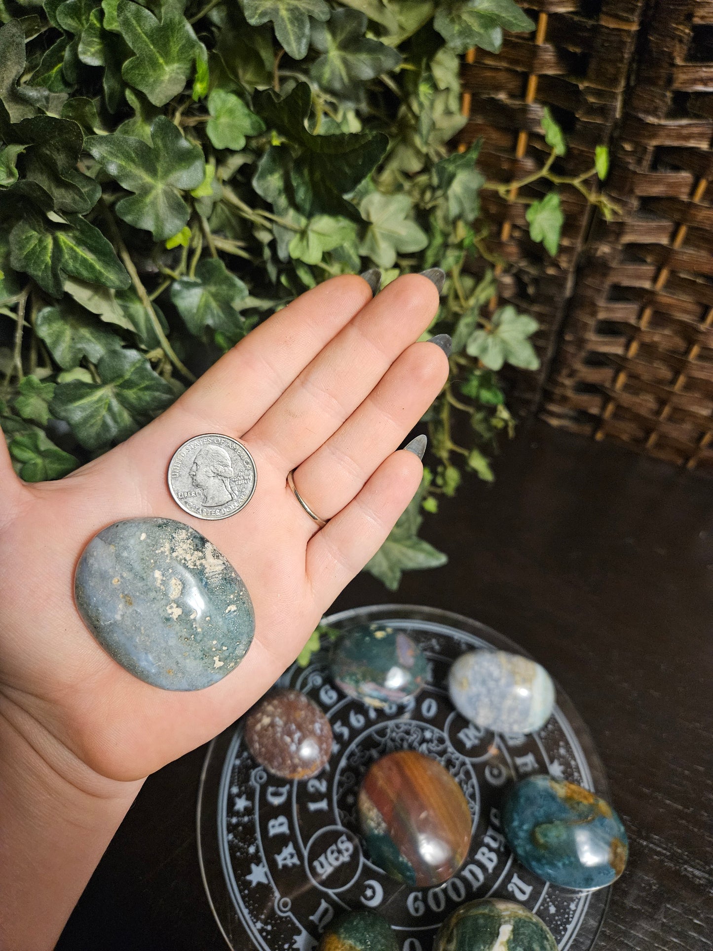 Ocean Jasper Palms