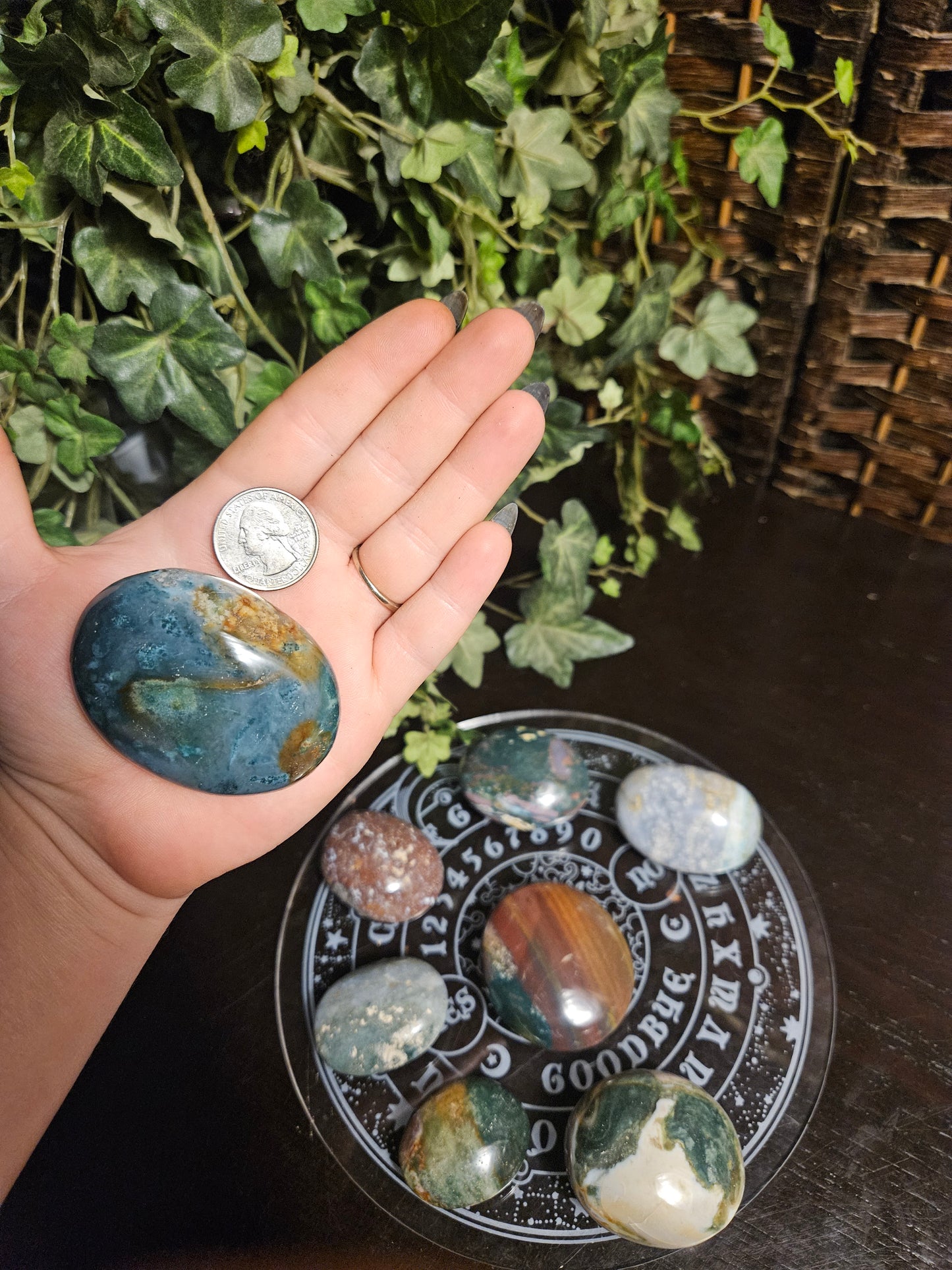 Ocean Jasper Palms