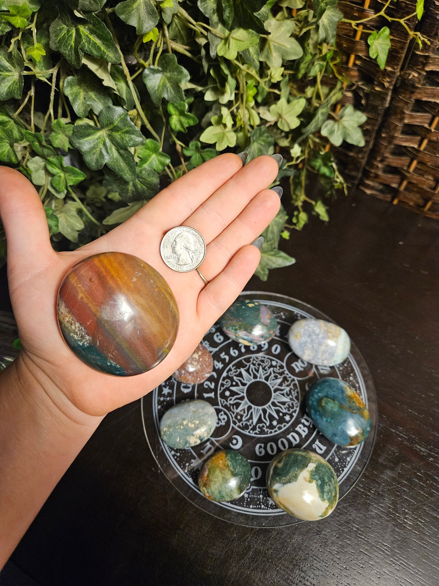 Ocean Jasper Palms