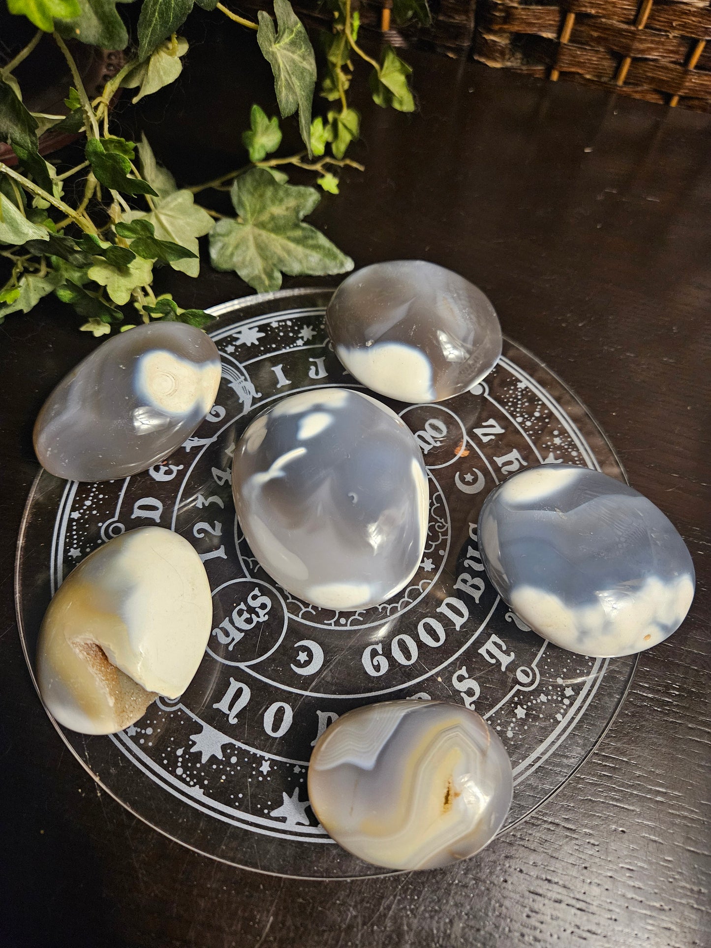 Orca Agate Palms