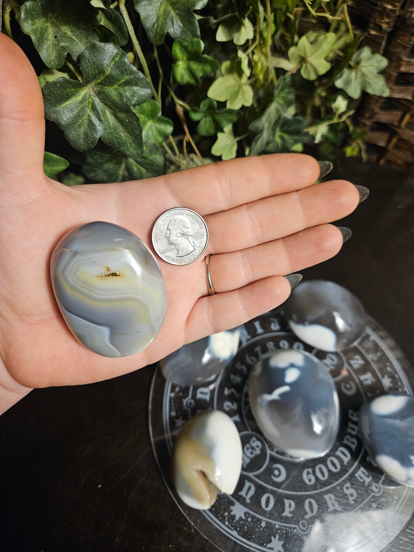 Orca Agate Palms