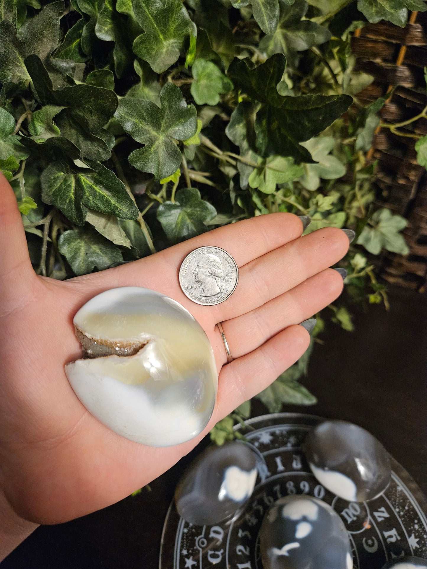 Orca Agate Palms