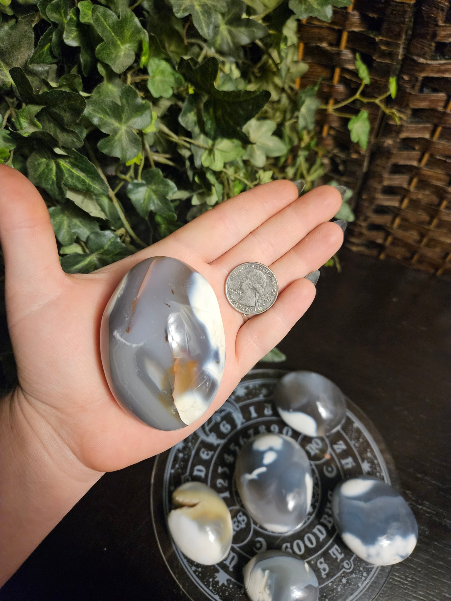 Orca Agate Palms