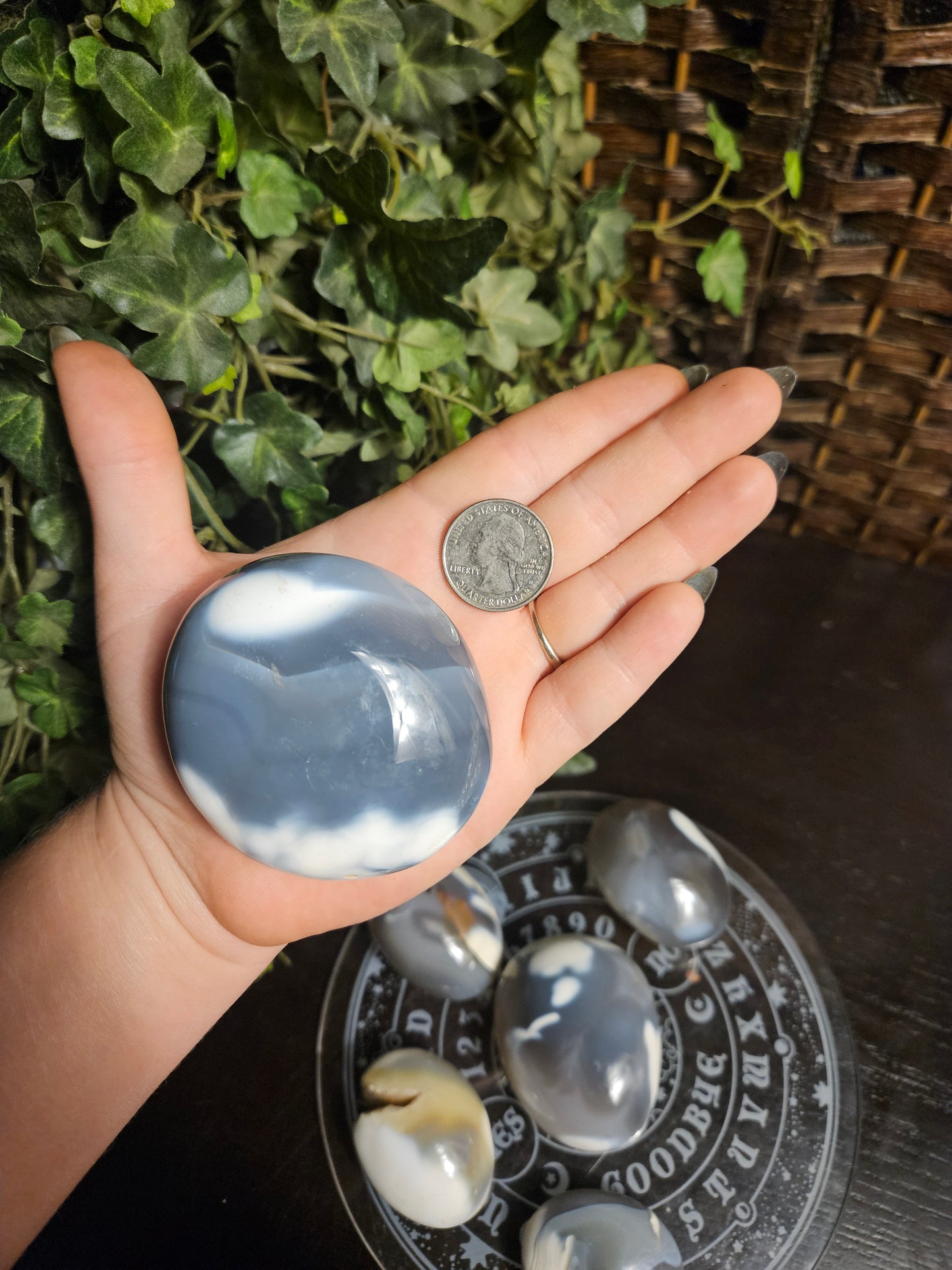 Orca Agate Palms