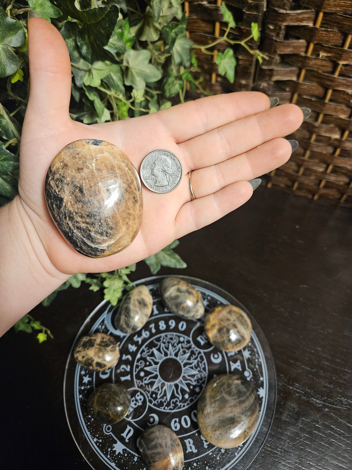 Black Moonstone Palms
