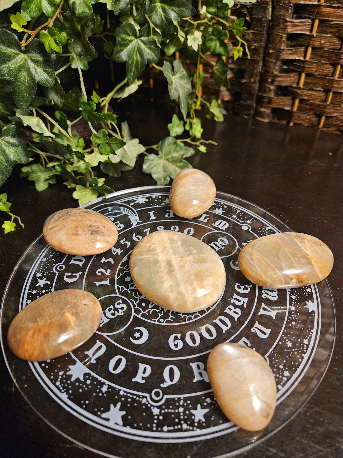 Peach Moonstone Palms
