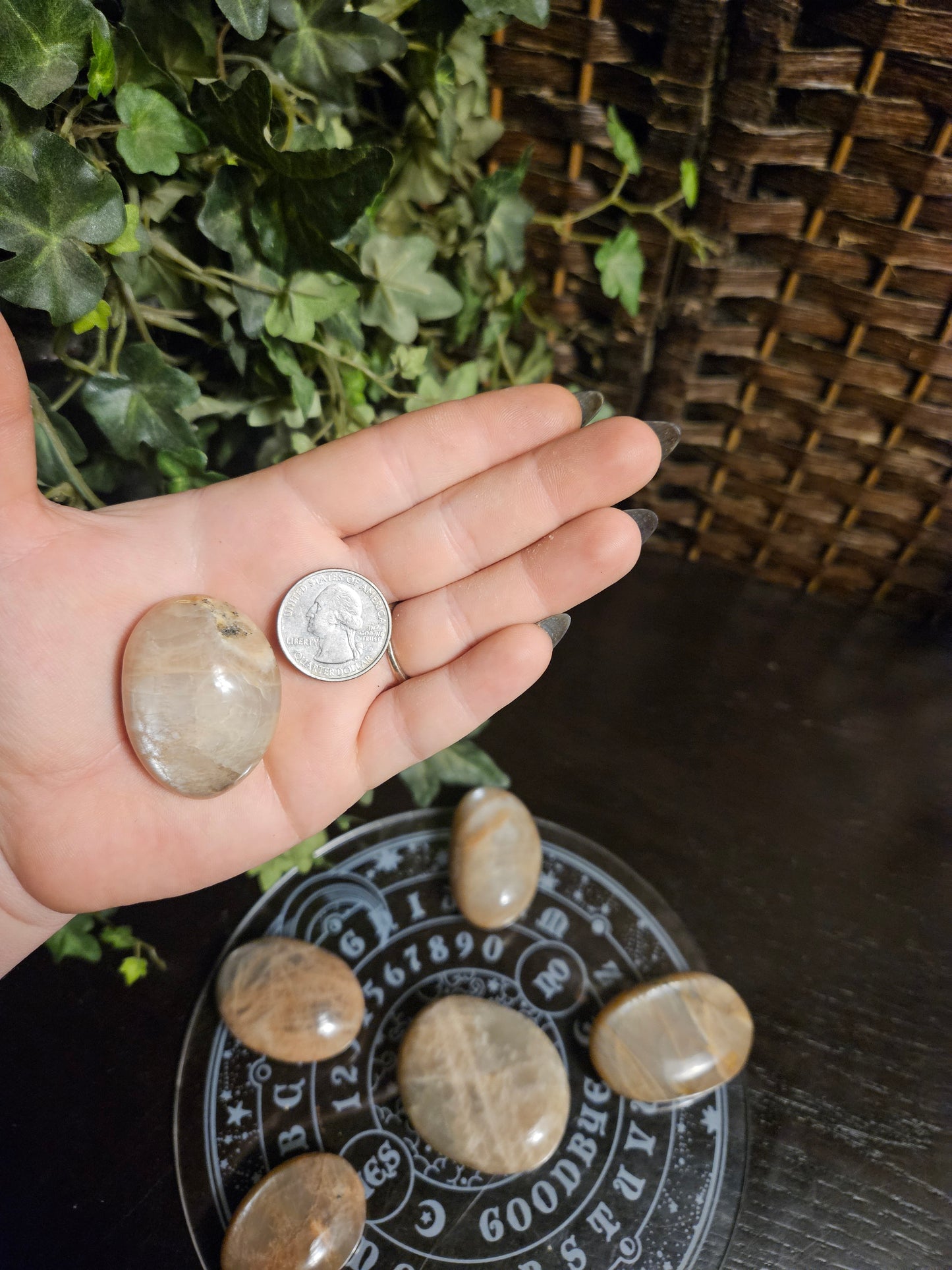 Peach Moonstone Palms