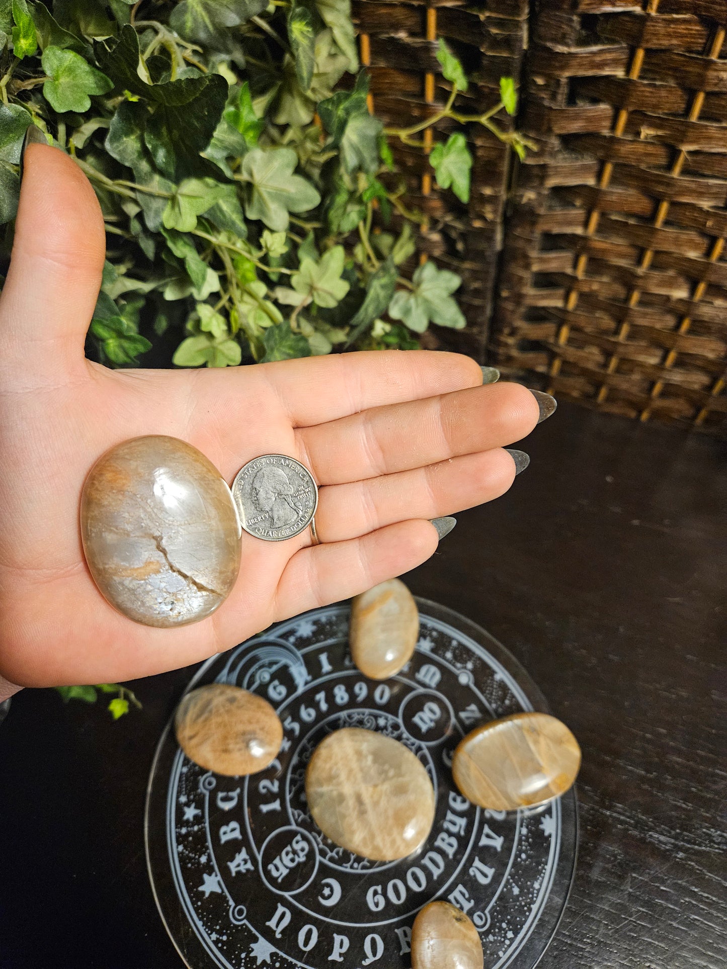 Peach Moonstone Palms