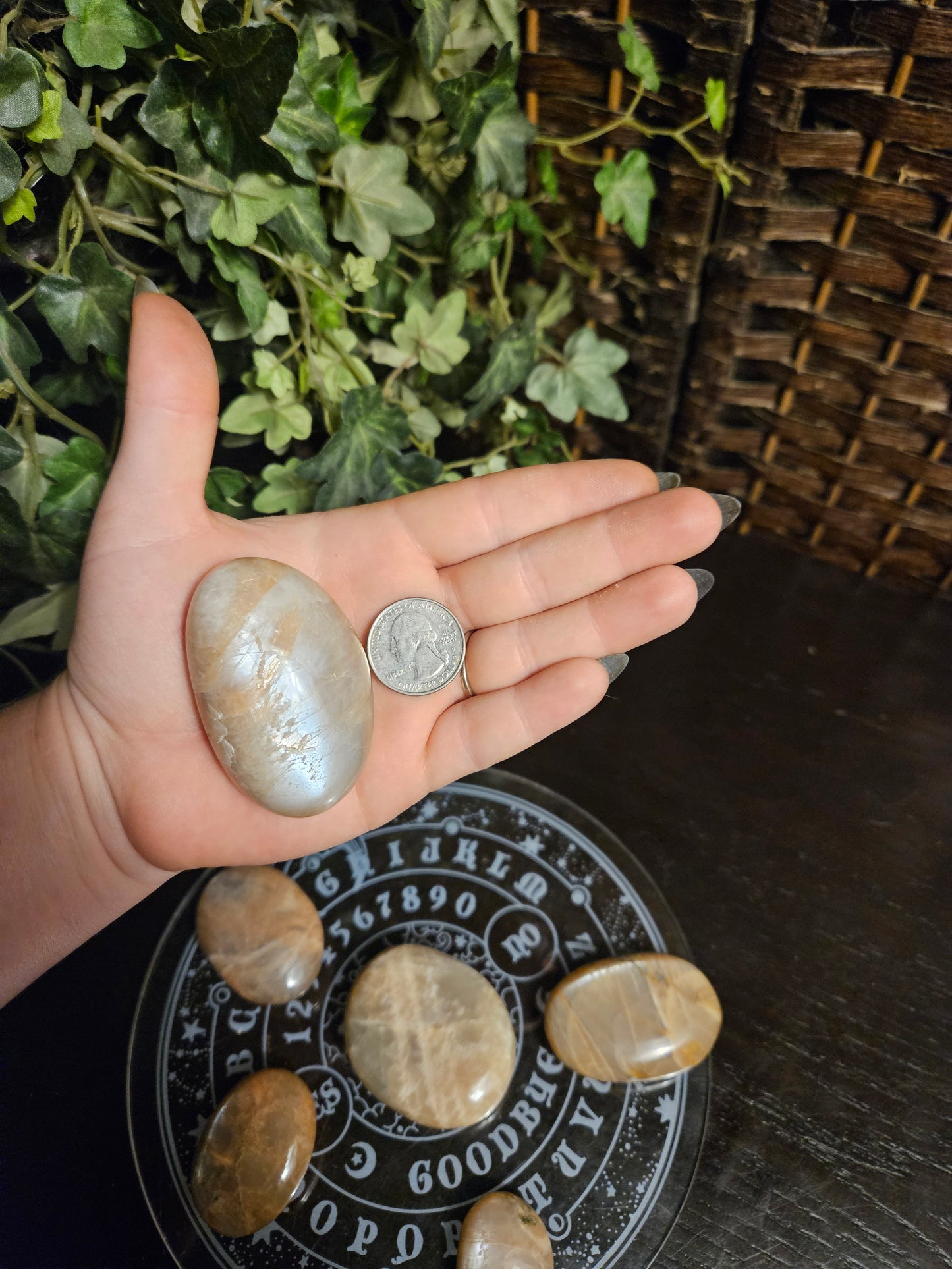 Peach Moonstone Palms