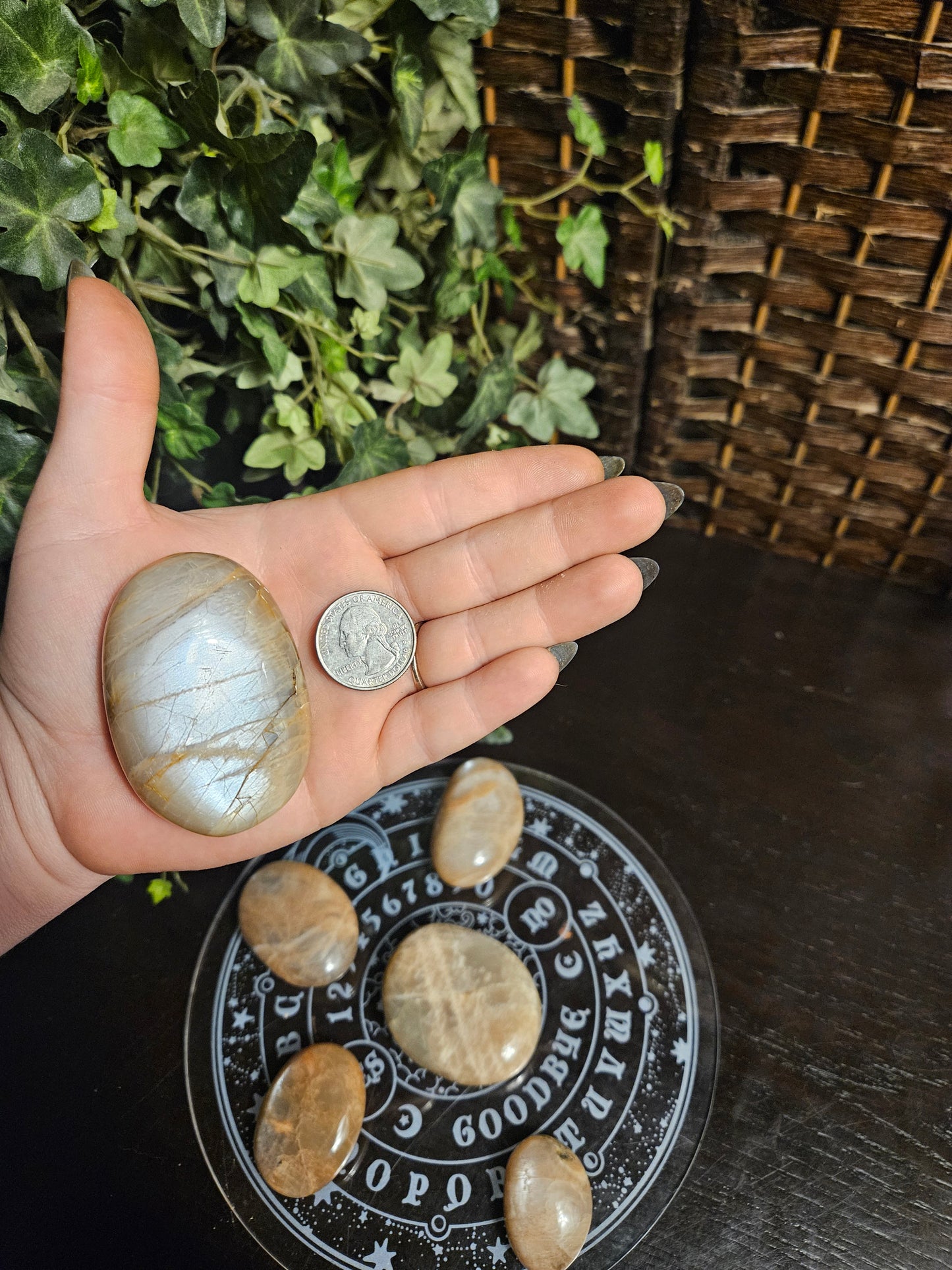 Peach Moonstone Palms