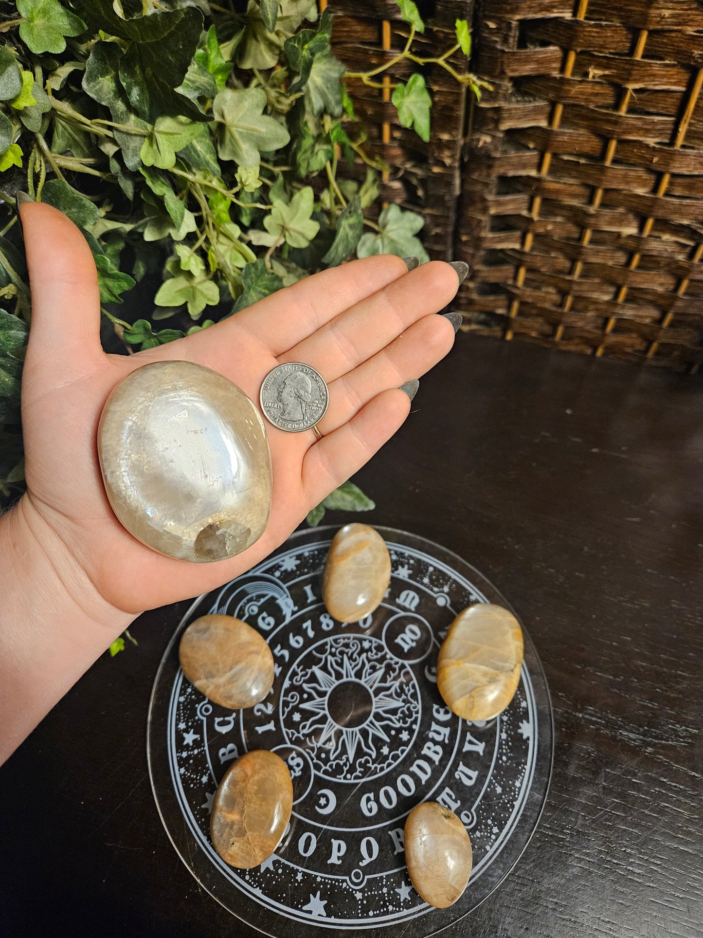 Peach Moonstone Palms