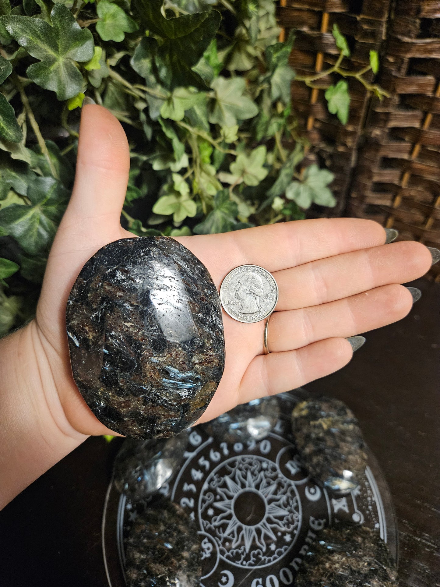 Nuummite Palms