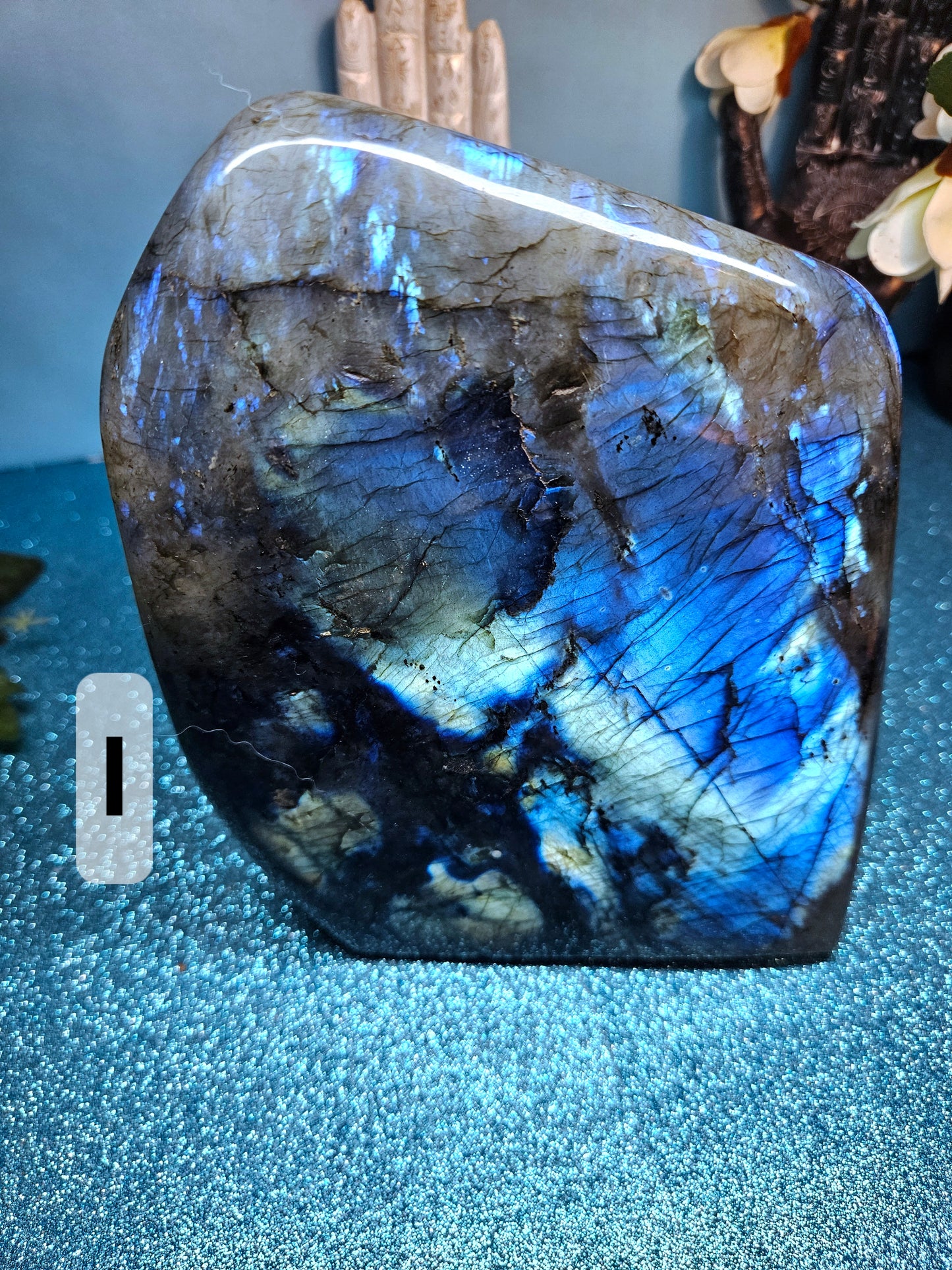 Mermaid Labradorite Freeforms