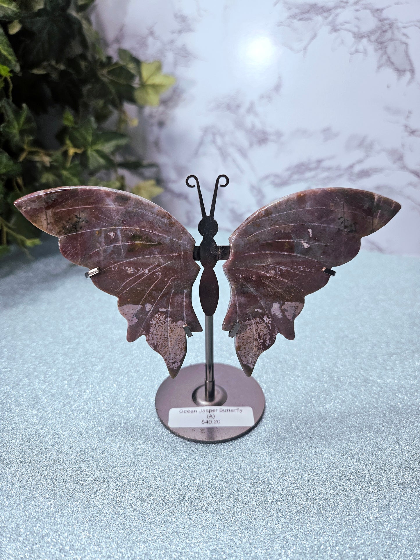 Ocean Jasper Butterflies
