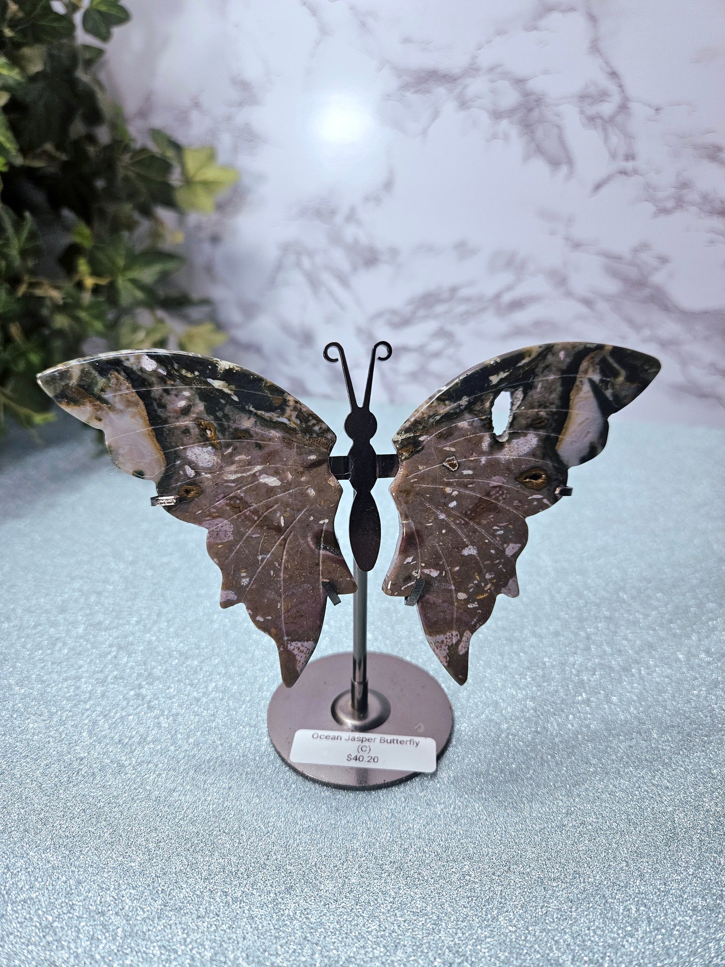 Ocean Jasper Butterflies