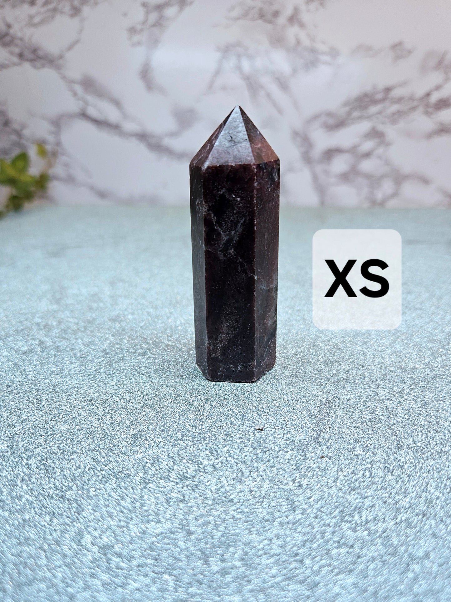 Garnet in Nuummite (Sorcerer's Stone) Points