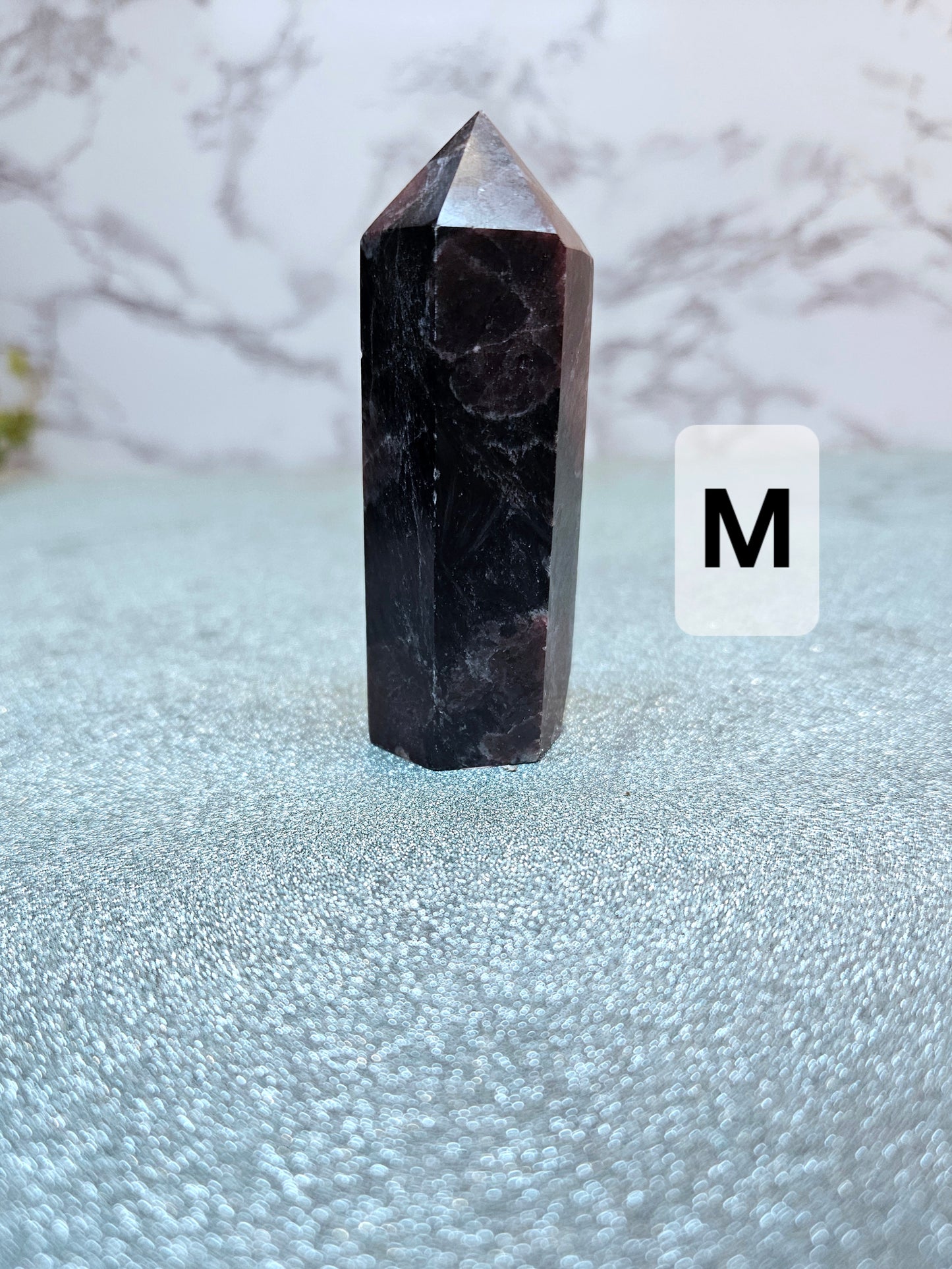 Garnet in Nuummite (Sorcerer's Stone) Points