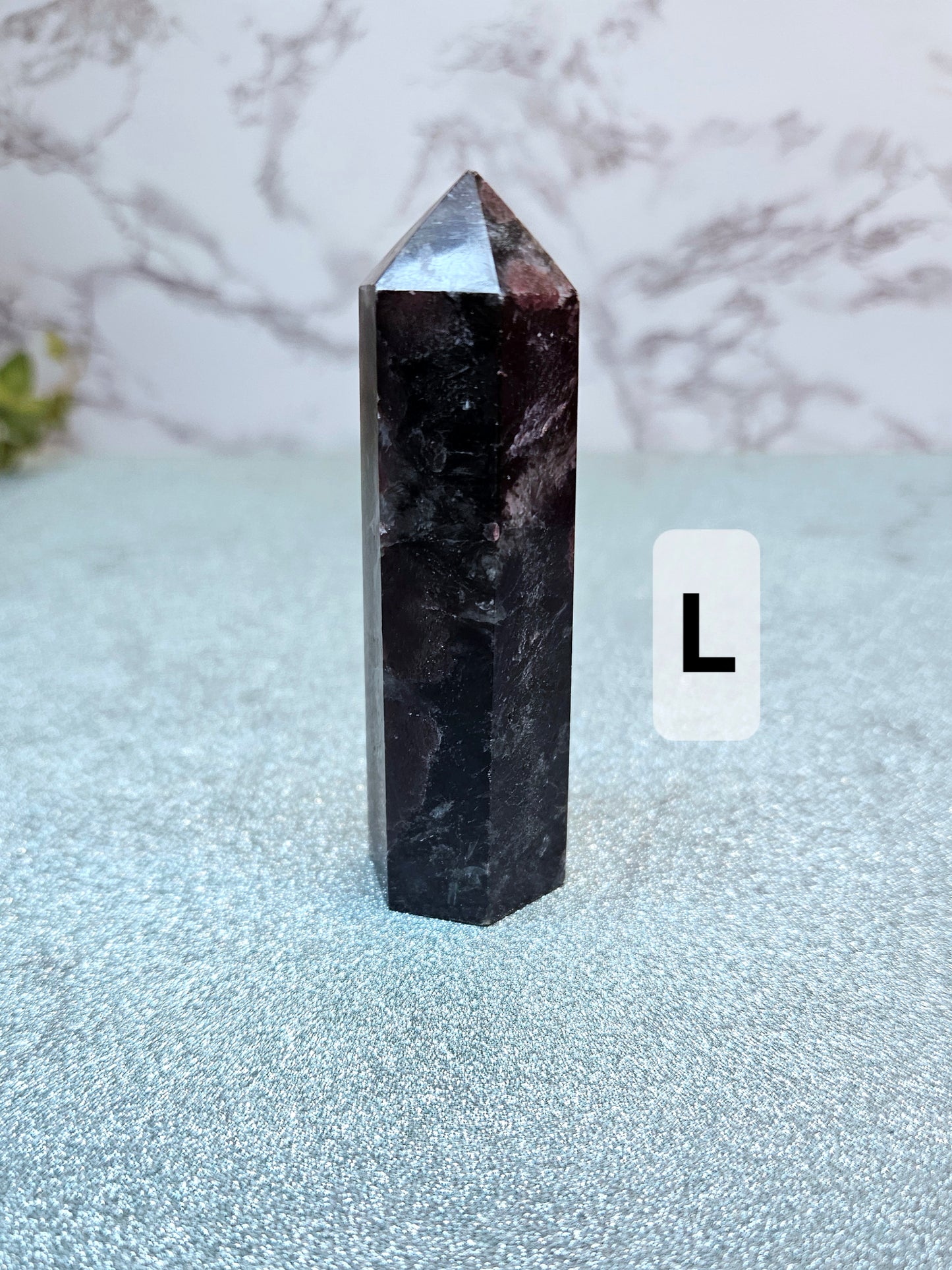 Garnet in Nuummite (Sorcerer's Stone) Points