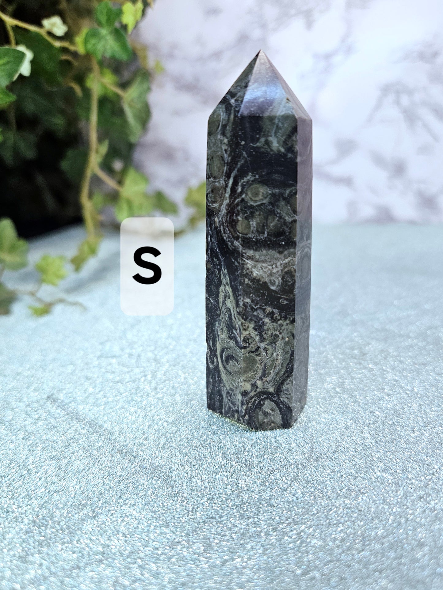Kambaba Jasper Points