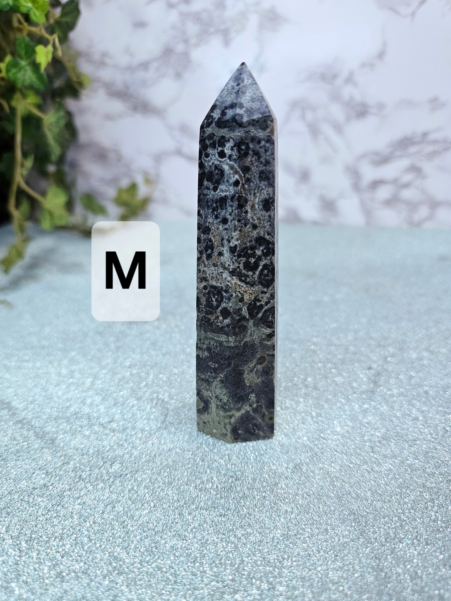 Kambaba Jasper Points
