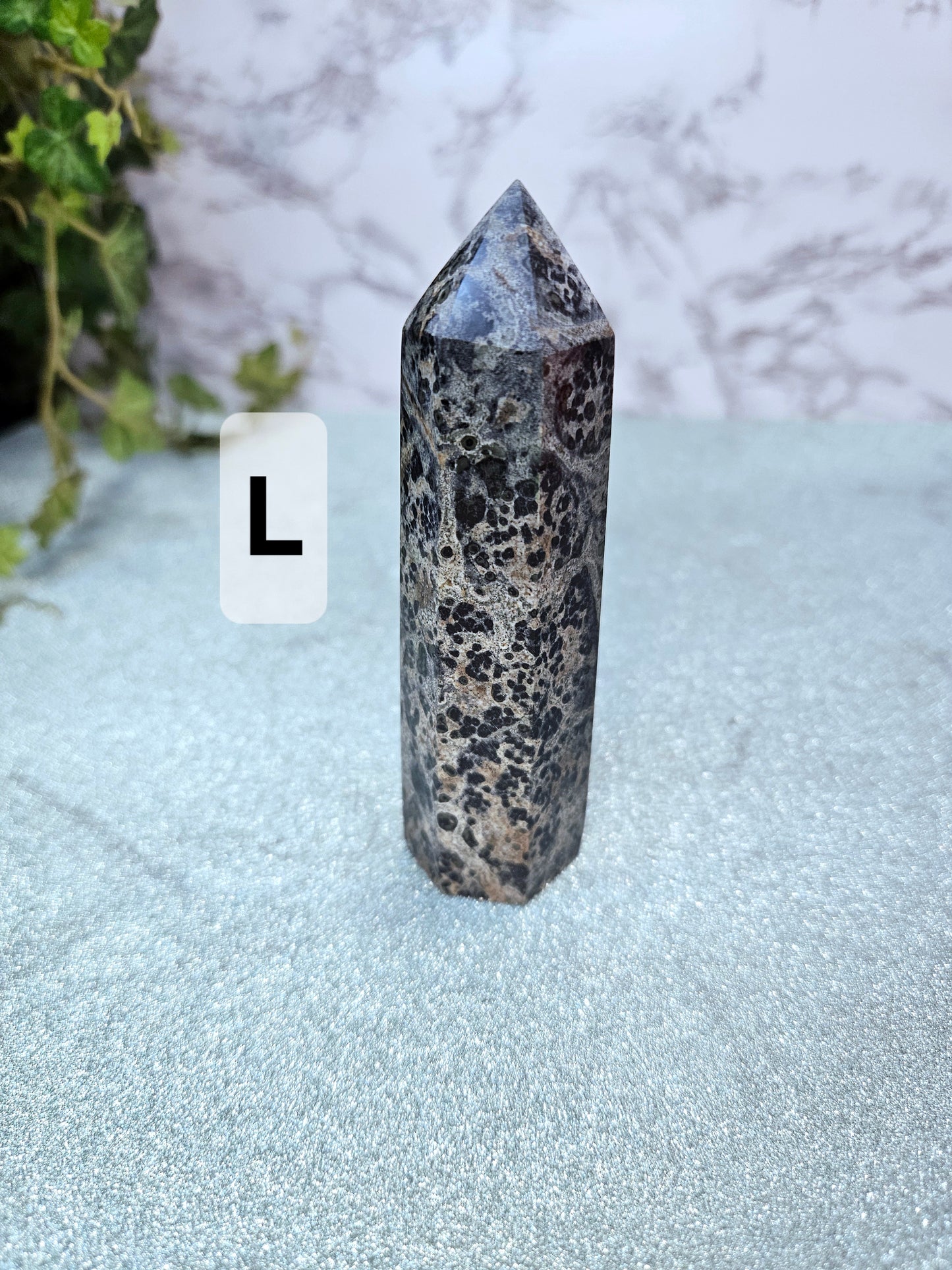 Kambaba Jasper Points
