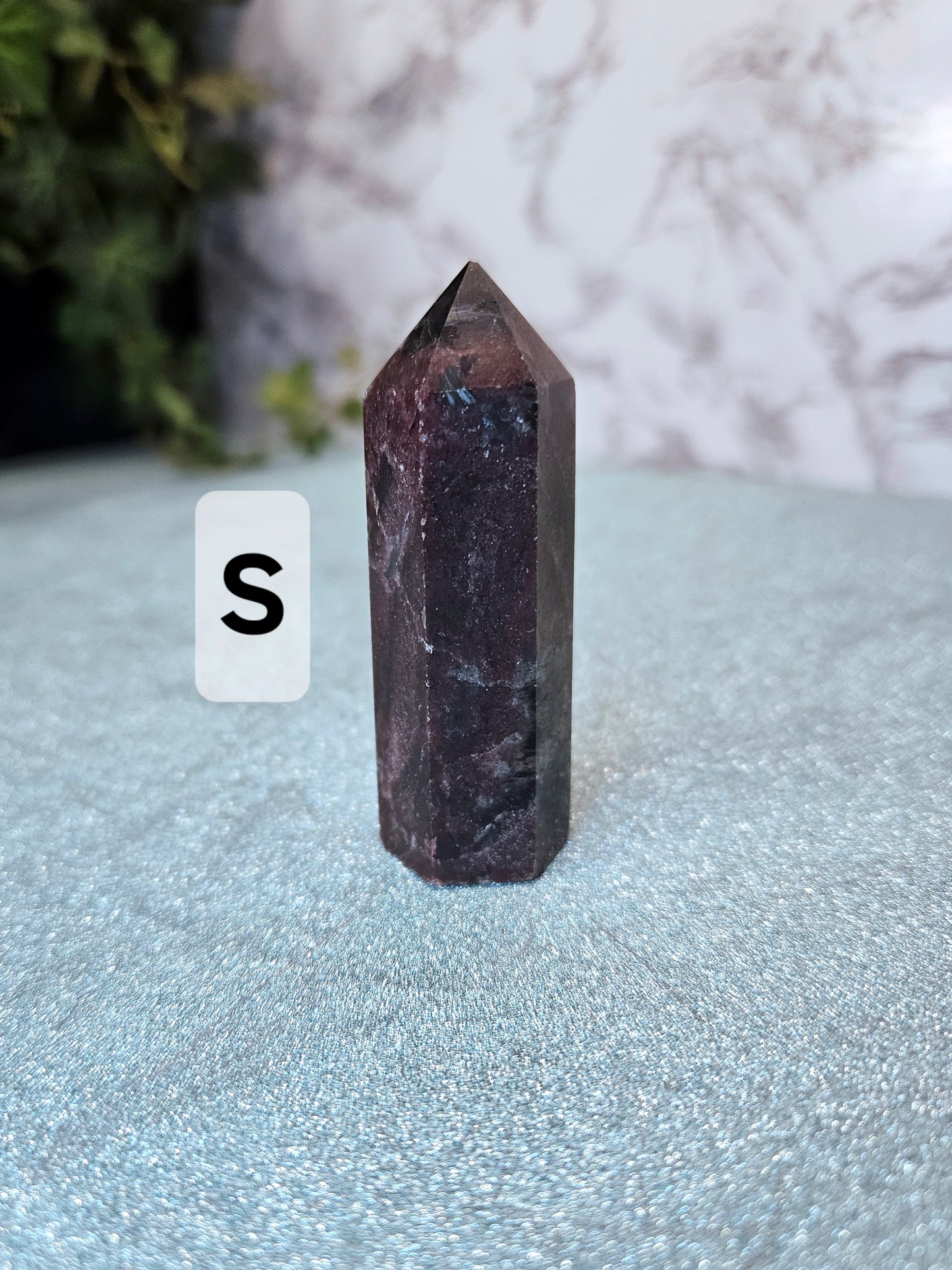 Garnet in Nuummite (Sorcerer's Stone) Points