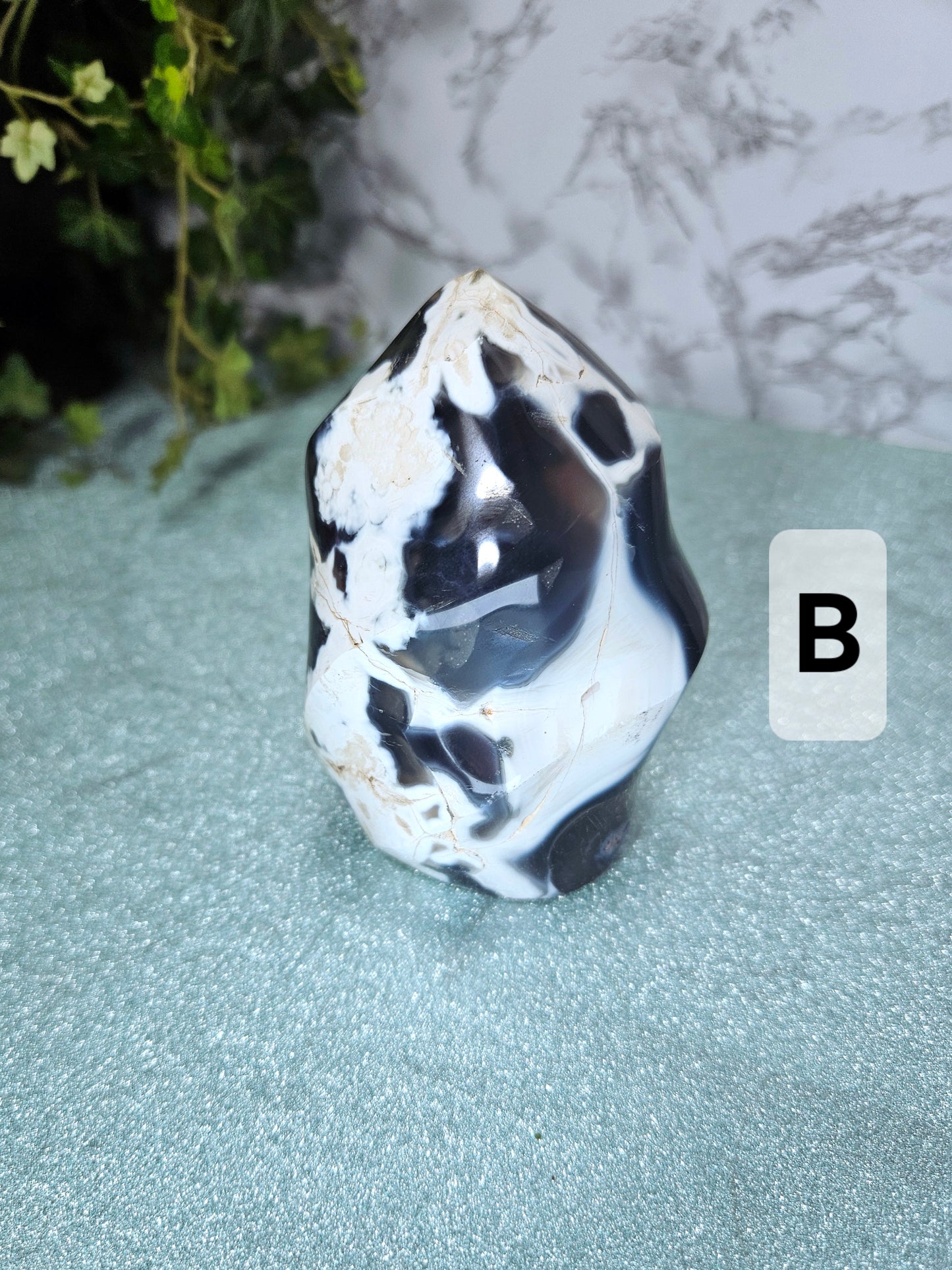 Orca Agate Flames