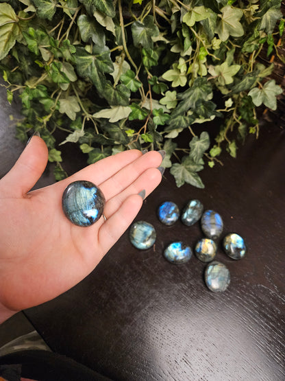 Blue Flash Labradorite Palms
