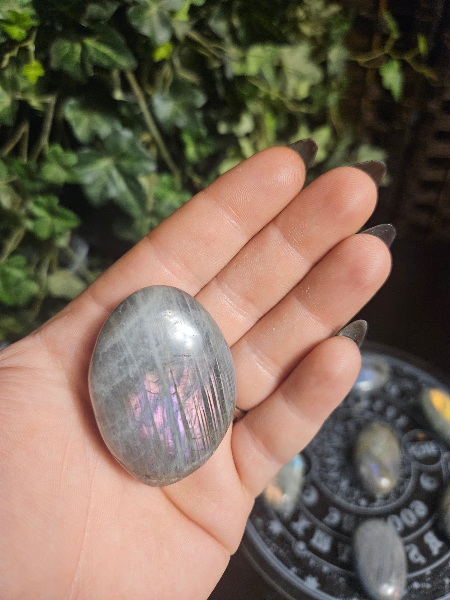 Purple Labradorite Palms