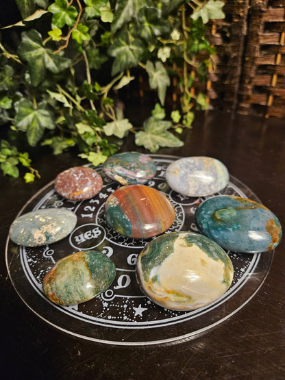 Ocean Jasper Palms