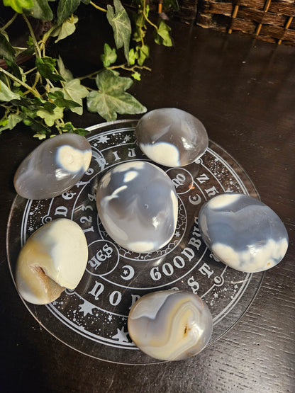 Orca Agate Palms