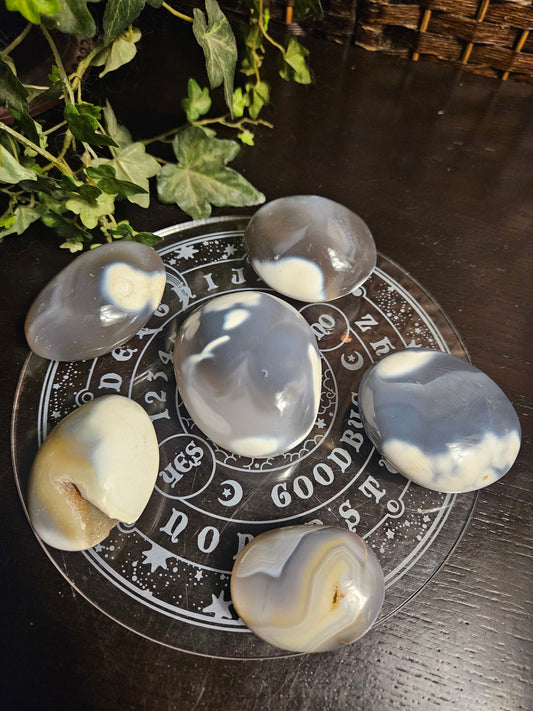 Orca Agate Palms