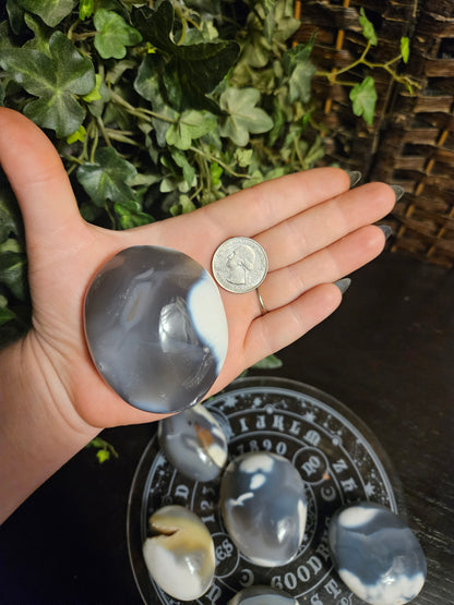 Orca Agate Palms