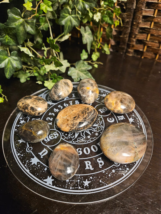 Black Moonstone Palms