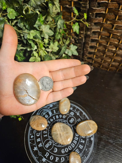 Peach Moonstone Palms
