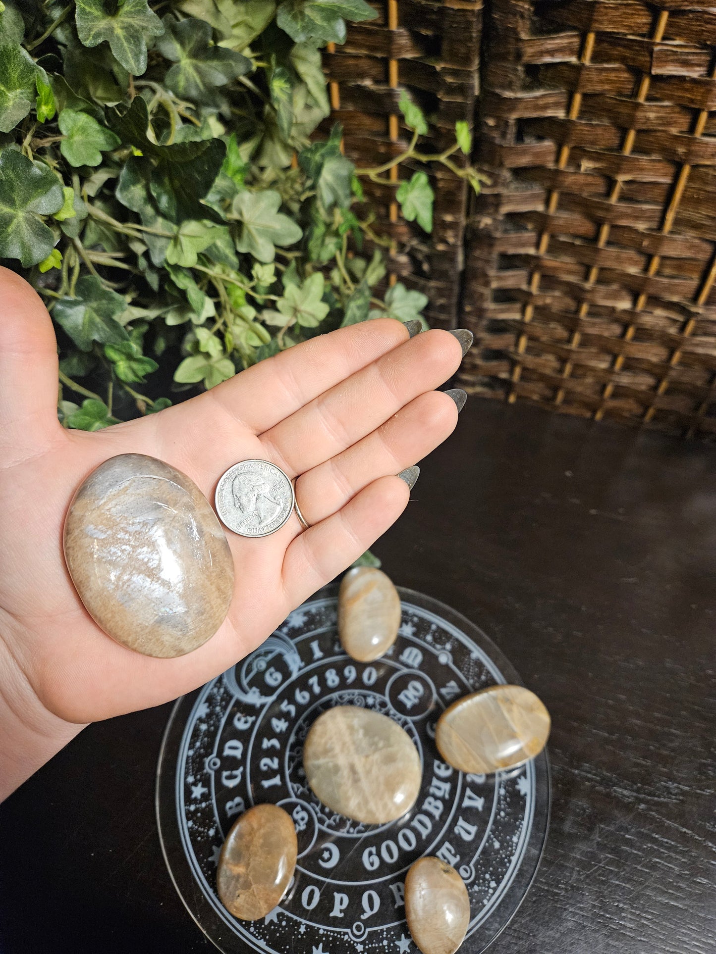 Peach Moonstone Palms