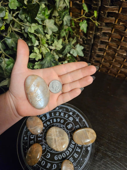 Peach Moonstone Palms