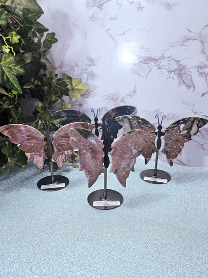 Ocean Jasper Butterflies
