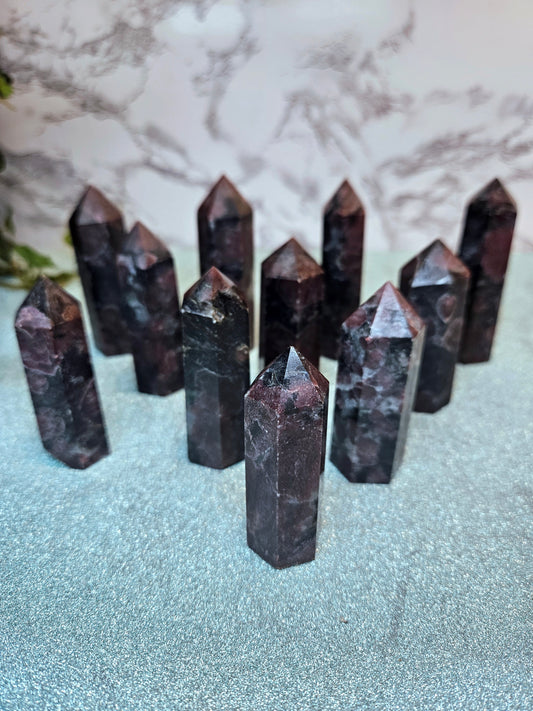 Garnet in Nuummite (Sorcerer's Stone) Points