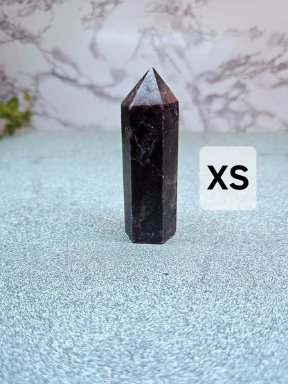 Garnet in Nuummite (Sorcerer's Stone) Points