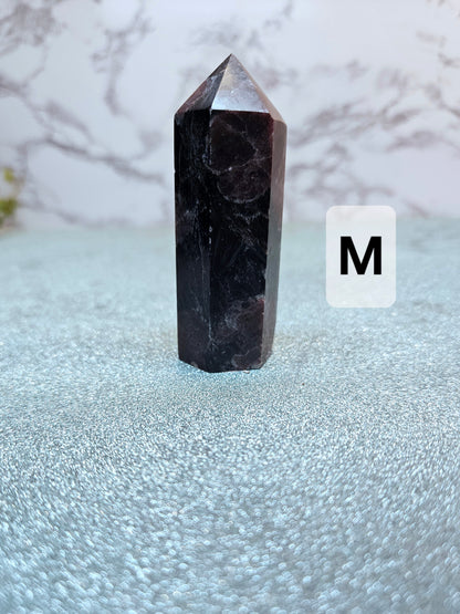 Garnet in Nuummite (Sorcerer's Stone) Points
