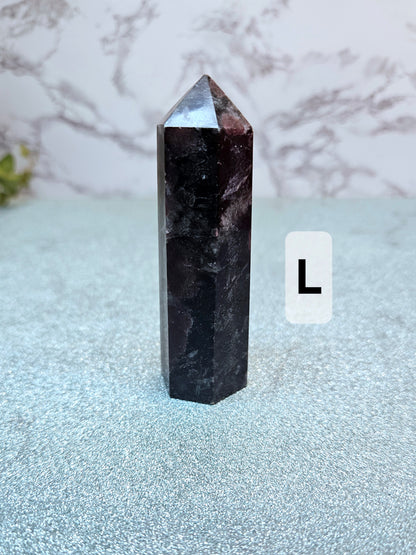 Garnet in Nuummite (Sorcerer's Stone) Points