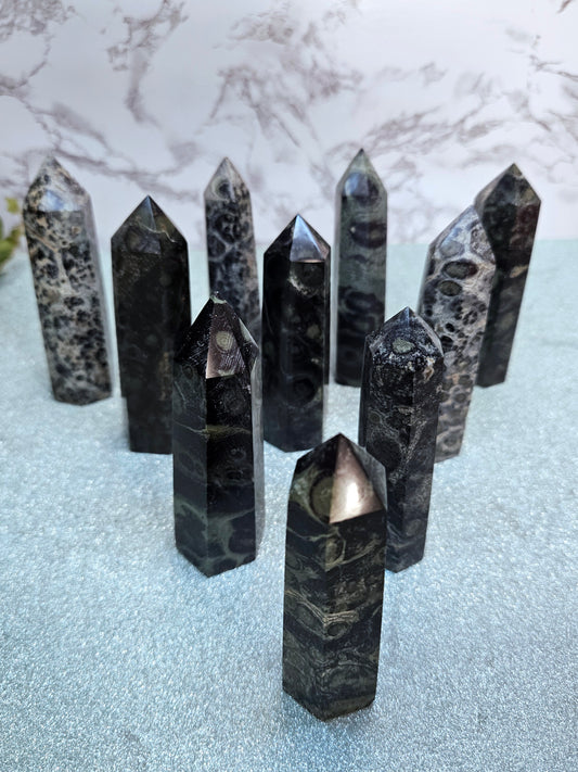 Kambaba Jasper Points